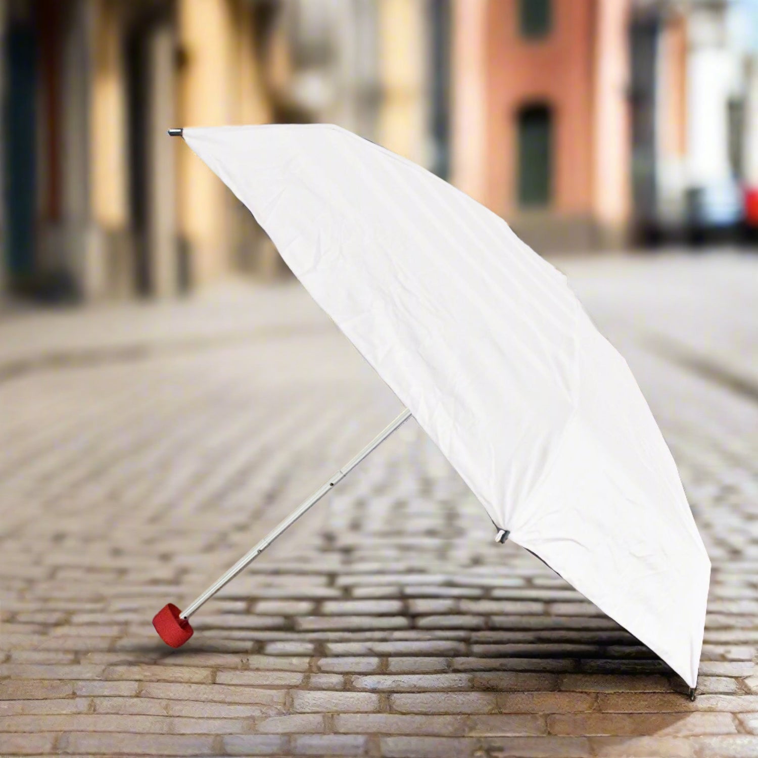 Umbrella Umbrella